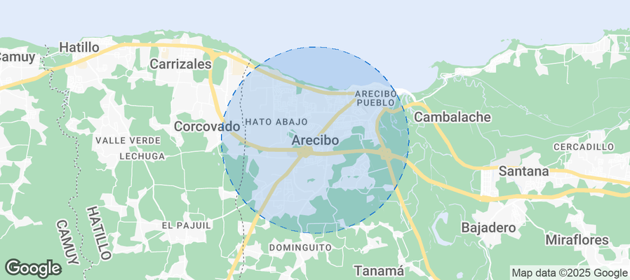 Discover Arecibo Airbnb Analytics